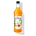 Monin South Sea Blends Syrup PET