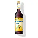 Monin Irish Cream - Sugar Free Syrup