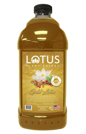 Lotus Plant Energy - Gold 64 oz.